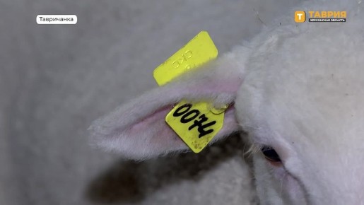 ����� ����� ���� ��������� �� ������������������� ���������� �������