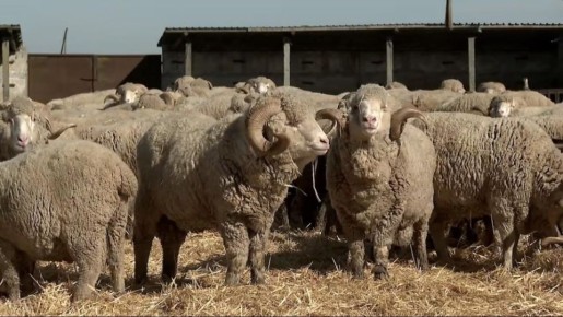 ��������� ���� � ���������� ������� ����������� ������������ ����������