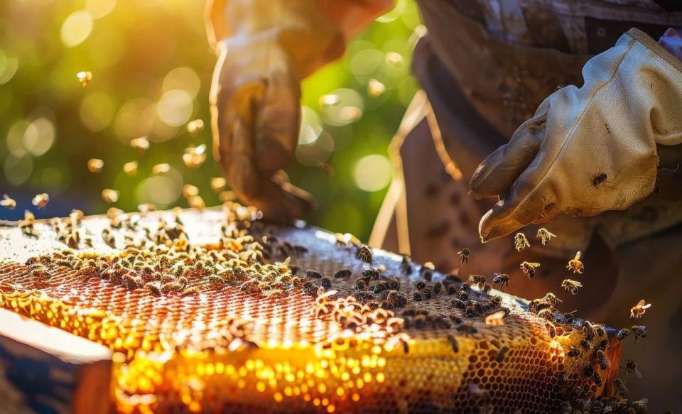 Пчеловодство как бизнес: от хобби до прибыльной стратегии