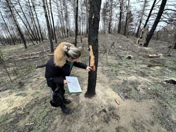 ����������� ���������������� ������� ������� ���������� ������ ������