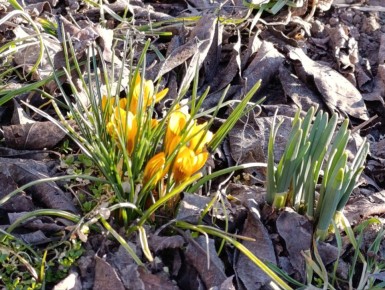 ������ ����!. ������ ������� ������������ ������ ���������� �����