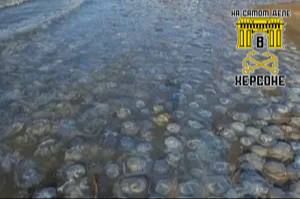 �������� ���� ������ ���������� ������� ����� ��� ��������