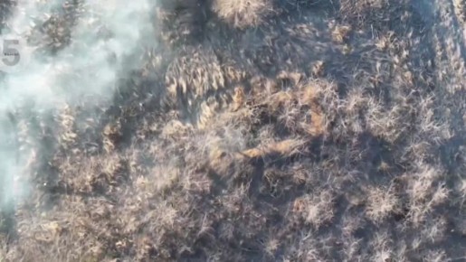 В районе Воздвиженки наш оператор навел суеты