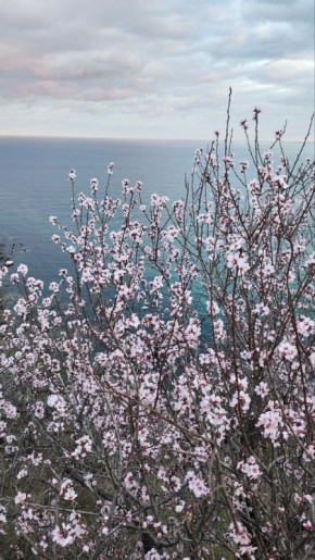 ������ ����, ��������� �����!