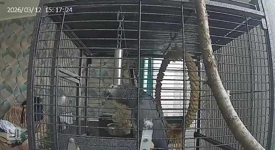 ������� �������� ������������� � �������� ��������� � ���������