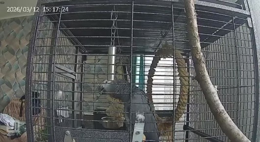 ������� �������� ������������� � �������� ��������� � ���������