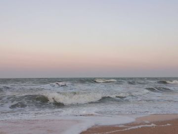 ����� ���� ���������� ����� �� �������� ���������