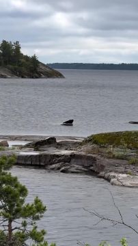 � �������������� ������ ���������� ����� ������������ ����� ����������� ����������