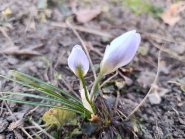 ������ ��������� ����!. ������ ��� ������ ������ � �������