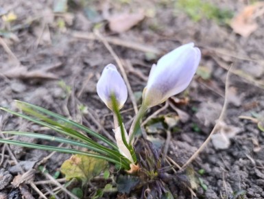 Доброе субботнее утро!. Погода нас радует теплом и солнцем