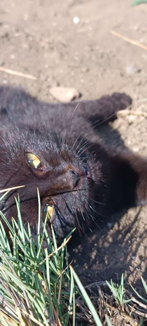 ������ ���� ������!. ������� ������� - ����� ��� ������, �������������� ��� � ������� ������� �����