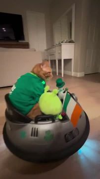 ���������. #���� @NSDVKhersone �����������