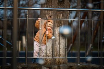 �������� ������: ����� �� ���������� � ����� ��������, �������� ����� � ������ ������