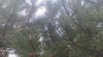 ���� ��������: ������ ����, ������ � ����� ����������� ������!