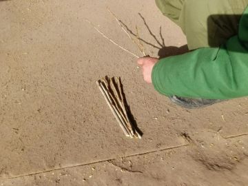 ���������� ������ ��������� ����� 5 ����� �������� ��� ���������� �������