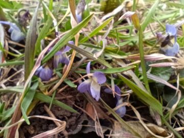 ����������, �����������!. ����� ������ ������� ������ ��� �� ��������, �, ��������, ��������� �� ������� ����, �������� �������, ������������ �������� � �� ���������� �������