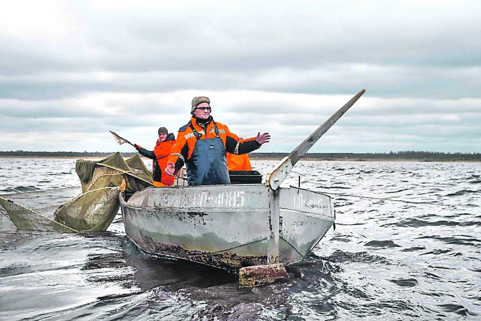 Два моря, одна страна, общие правила: Рыбопромышленники Херсонщины объединяются в ассоциацию