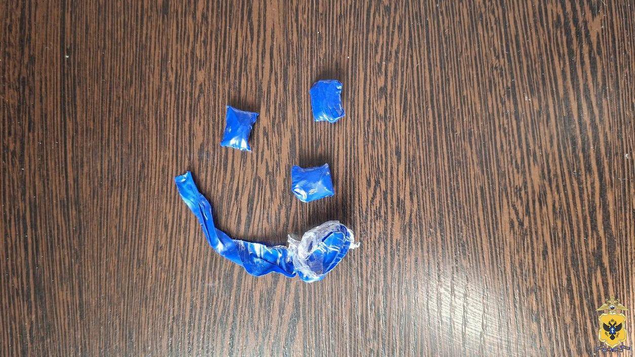 Сотрудники полиции и ФСБ изъяли синтетический наркотик у жителя Генического округа Сотрудники полиции и ФСБ изъяли синтетический наркотик у жителя Генического округа