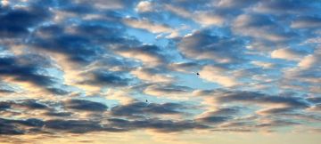 Доброе утро, Херсонщина!. Туман лёг белой дымкой на луга