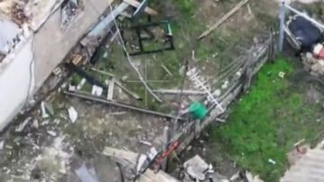 ��������� FPV-������ ����������� ����� ������ ���������� ����� ���������� ���� �� ������ ������ ������ � ���������� �������