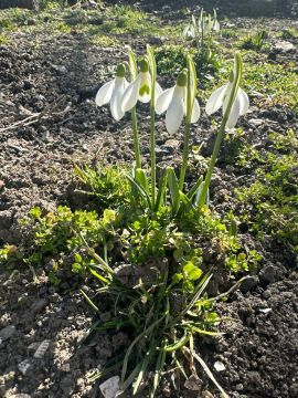 ������ ��� ��� �������!. ������ ��� � ��� ���� � ��������