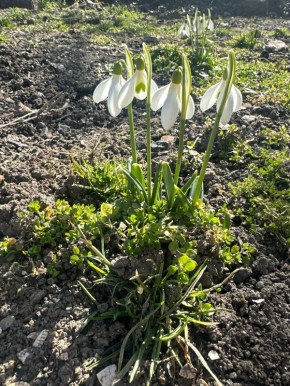 Потому что это красиво!. Потому что в них сила и нежность