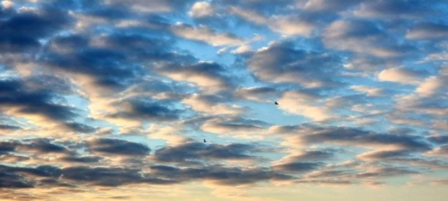 Доброе утро, Херсонщина!. Туман лёг белой дымкой на луга