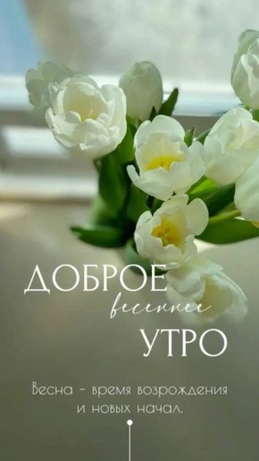 ������ ����, �����!. ������� �������, 17 �����