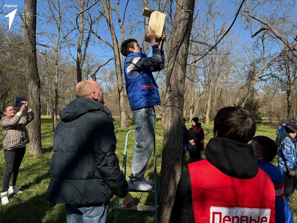 Добро Первых. Активисты Движения Первых Асканийской школы встретились с детским писателем Денисом Сорокиным и вместе с ним приняли участие в акции «Неделя добрых дел» Добро Первых. Активисты Движения Первых Асканийской школы встретились с детским писателем Денисом Сорокиным и вместе с ним приняли участие в акции «Неделя добрых дел»