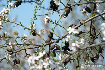 Погода на новых территориях России