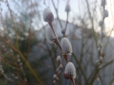 ������ ����, ������ � ����� ����������� ������!