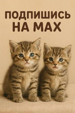 � �������� ������ ����. � ������ ������������� ��� VPN �� ����������� ���� ��������� ���������