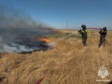За минувшие сутки пожарно-спасательные подразделения МЧС Херсонской области реагировали на:
