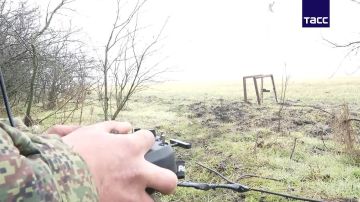 ����������� "�����" ���������� ����������� ��� ��� ��������