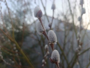 ������ ����, ������ � ����� ����������� ������!