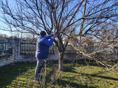 ������������ ��������� �������, �������� �� ���������� ������ �� ������� ���, ������ ���� ������� �� ���� ������� � ������� �����, ����� � �����