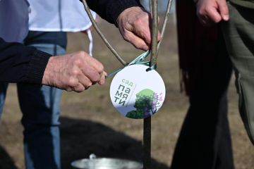 � ��������� ������������ ������� ������� ����� ������������� ����� ���� ������ �������� ����� �������