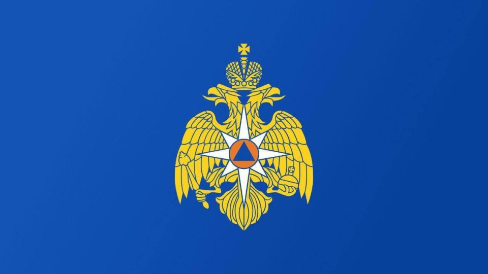 Представители Краснодарского края передали спортивный инвентарь юным спортсменам Генического округа Представители Краснодарского края передали спортивный инвентарь юным спортсменам Генического округа