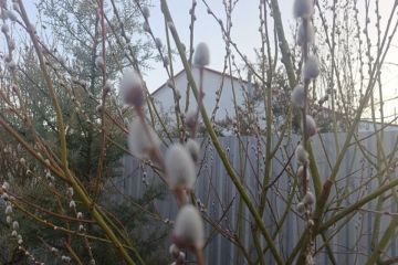 ������ ��������� �� ��������: ����� ����� ������ � ���������� ������� 18 ����� 2026 ����