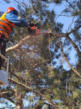 ������ �� ��������������� ������: ����� ���� ����