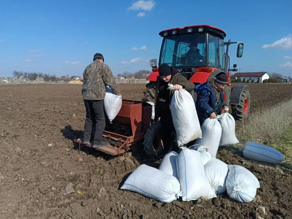 В Новотроицком районе высадили деревья для будущих зелёных зон Херсонщины В Новотроицком районе высадили деревья для будущих зелёных зон Херсонщины