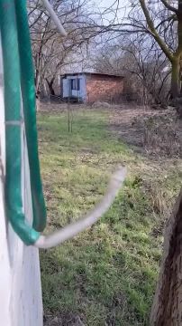 ��� ��� ��� ������?! ��� �����!�: �������� ������ ����������� ��������� ���������� ���� � ������������