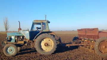 В Каховском округе стартовала весенняя посевная кампания
