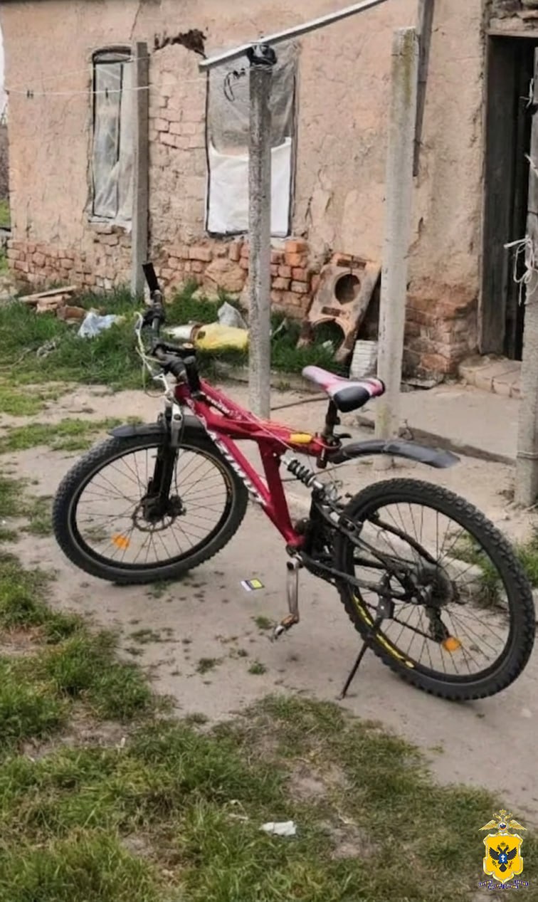 В Алешкинском округе полиция задержала 27-летнего мужчину, причастного к краже велосипеда