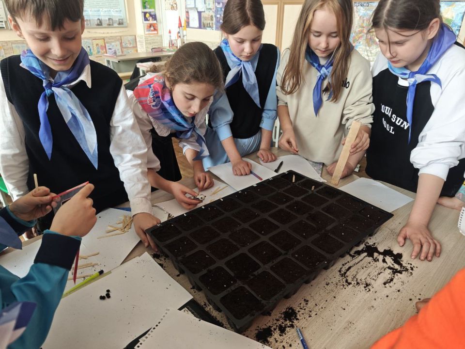 Школьников Скадовского округа учат любить природу Школьников Скадовского округа учат любить природу