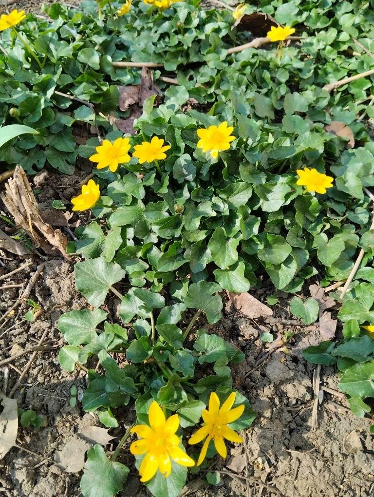 Доброе утро, Каховский округ! Доброе утро, Каховский округ!