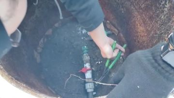 ��������� ������� �� ���������-�������� ������������ ������ ������ � ������� ������������� � ���������