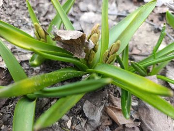 Юлия Семякина: Доброе утро, жители и гости Генического округа!