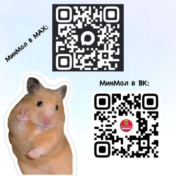 Друзья, напоминаем, чтобы всегда быть в курсе событий, возможностей и новостей молодёжной политики, подписывайтесь на нас в MAX и ВКонтакте