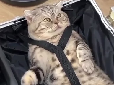 ����� ������� �� �����!. #���� @NSDVKhersone �����������